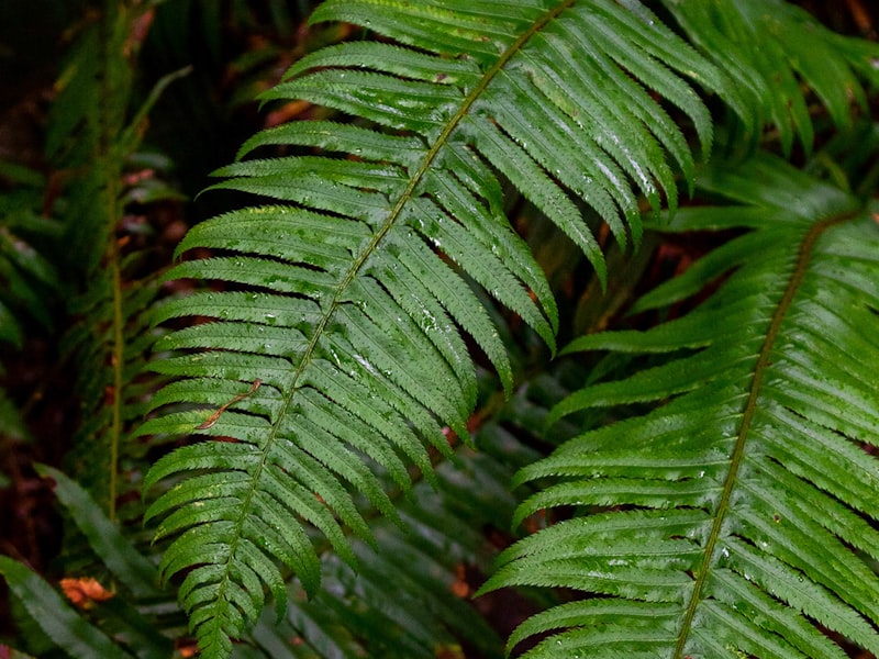 Technology Innovation